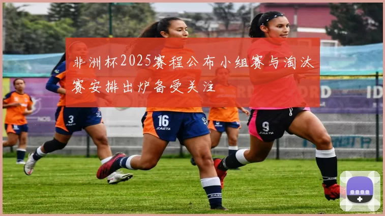 非洲杯2025赛程公布小组赛与淘汰赛安排出炉备受关注